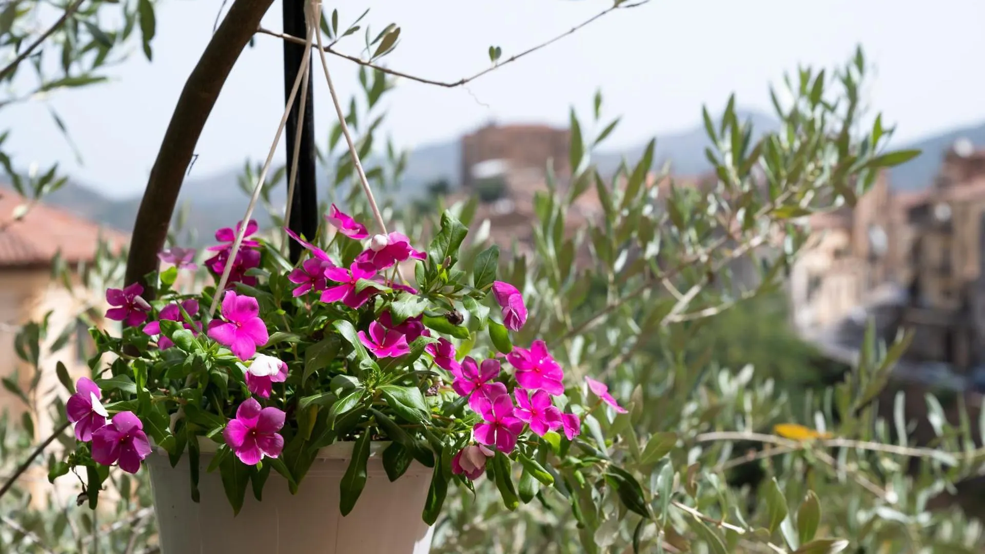 *** Bed & Breakfast B&B Panorama Castelbuono  Italia